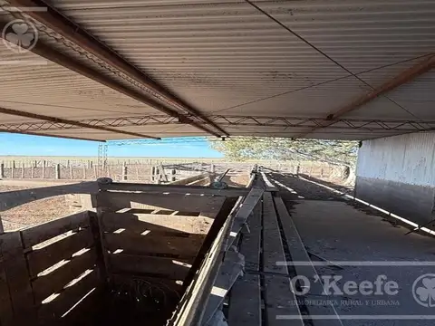 Campo mixto en venta 10.000 has en Patagones