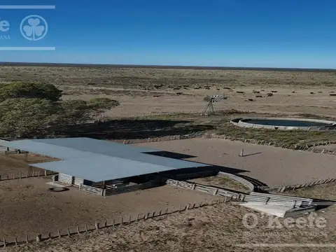 Campo mixto en venta 10.000 has en Patagones
