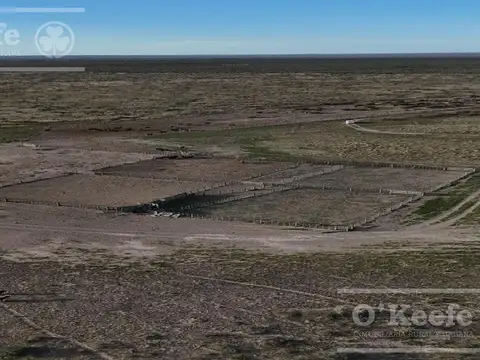 Campo mixto en venta 10.000 has en Patagones