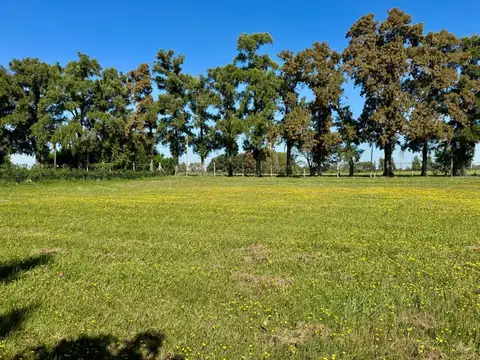 Terreno en Venta en Countries y Barrios Cerrados en Manzanares, USD 19.000