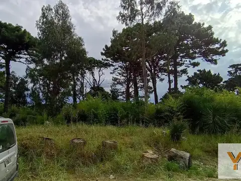 Terreno en Venta -  - 825mts - Pinamar
