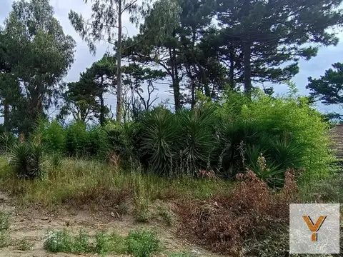Goleta La Hércules e/ Fragata Victoria y Nautilus