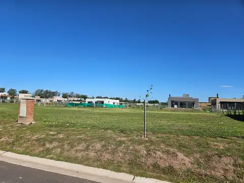 Santa Elisa  - Pilar del Este .1