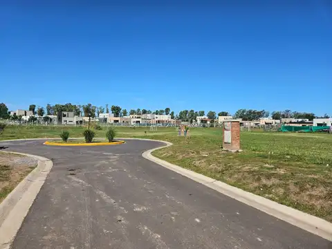 Santa Elisa  - Pilar del Este .1