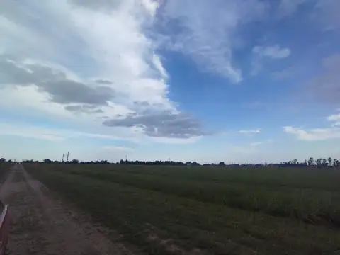 Terreno en Venta, FOT 0,8