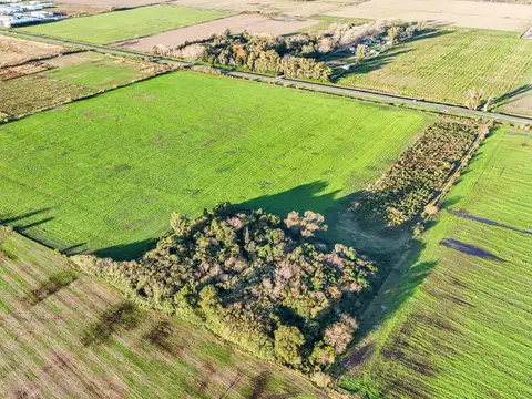Fraccion de campo para desarrollos en roldan sobre ruta a012 km 46