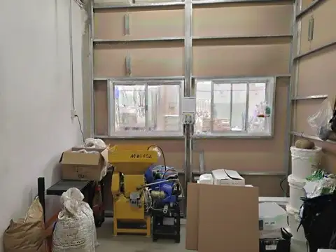 Alberto Einstein 600