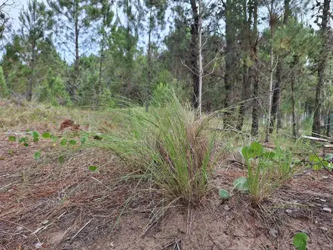 Terreno en Venta de 607,0 m2