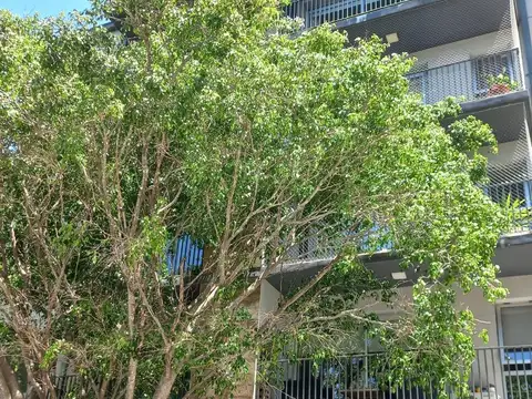 Departamento MONOAMBIENTE EN PB - Tigre