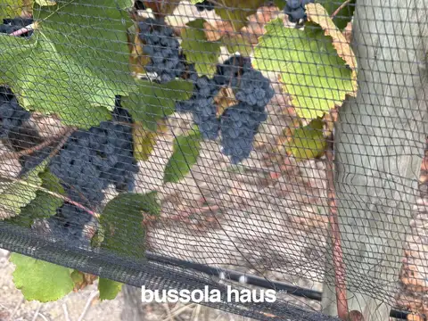 Pampa el Cepillo