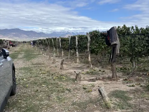 Terreno en Venta de 80000,0 m2