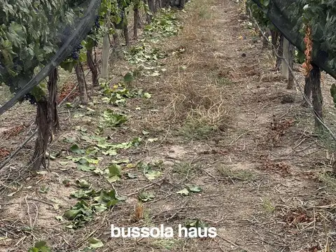 Pampa el Cepillo