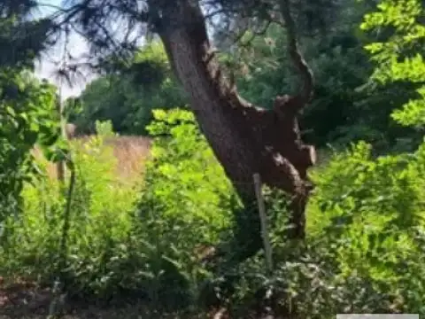 Terreno en Venta en La Plata, Partido de La Plata