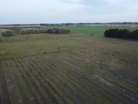 Terreno en Venta 14  mts Frente