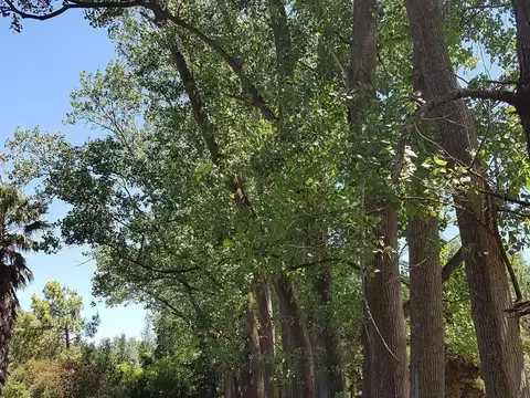 Terreno en Venta de 9046,0 m2