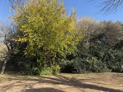 Terreno en Venta 37  mts Fondo