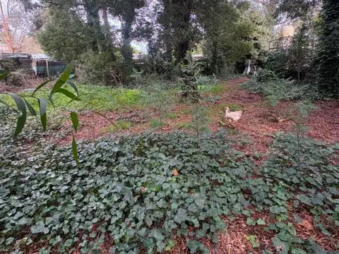 Terreno en Venta en Mar del Plata, Partido de General Pueyrredón