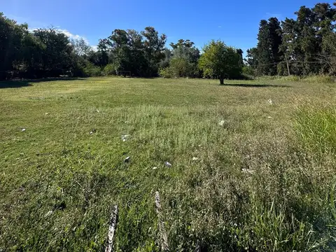 Terreno en Venta en Almahue, USD 45.000