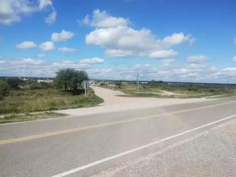 CAMPO MIXTO EN VENTA SAN FRANCISCO DEL CHAÑAR
