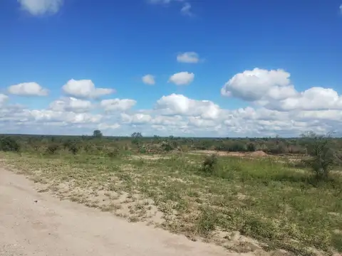 CAMPO MIXTO EN VENTA SAN FRANCISCO DEL CHAÑAR