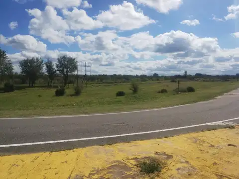 Ruta 22