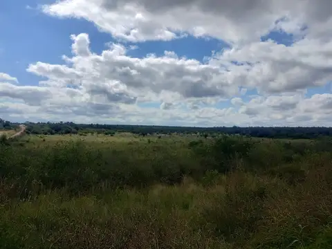 Ruta 22