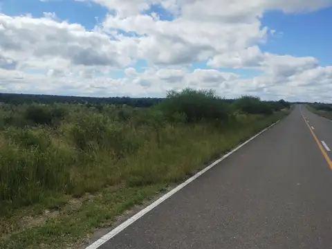 CAMPO MIXTO EN VENTA SAN FRANCISCO DEL CHAÑAR