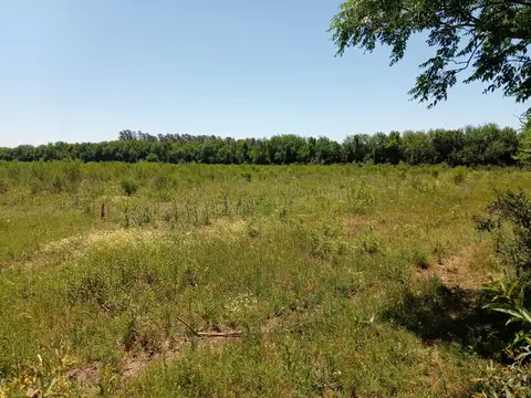 Campo en Venta con Alambrado