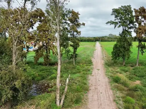 Terreno en Venta de 800,0 m2