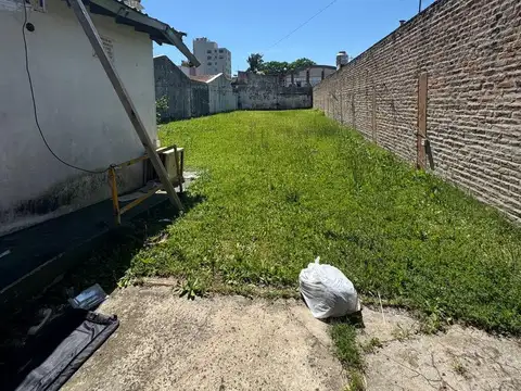 colon  al 200