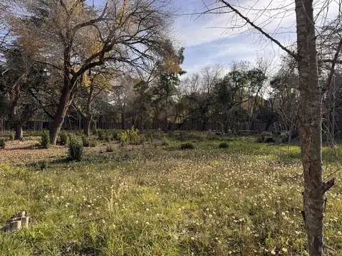 Loteo en venta con excelente acceso, arboleda en Maschwitz Escobar