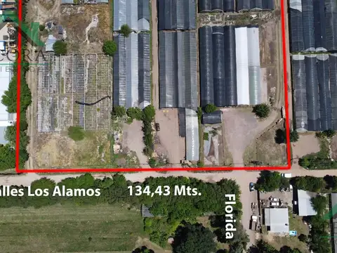 Los Alamos esquina Florida - Loma Verde