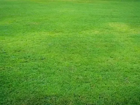 VENTA LOTE MERLO SUR/ PERMUTA POR DPTO