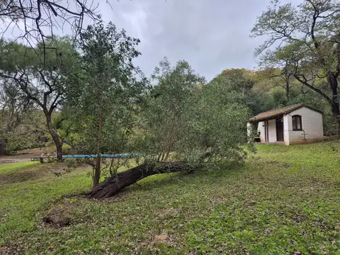 Casa en Venta de 7 dormitorios