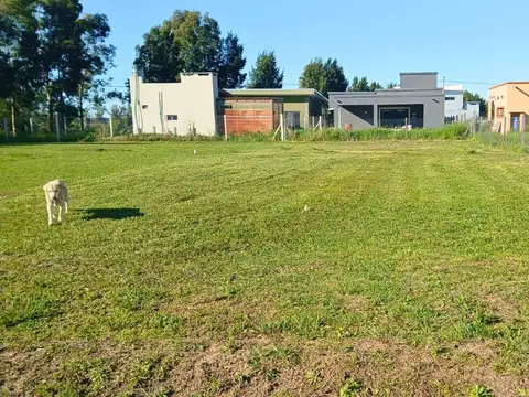 BARRIO CARDALES CHICO