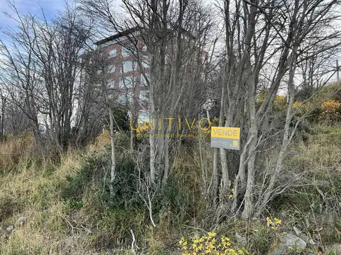 VENTA - Agustin Justo Zetner  al 2500