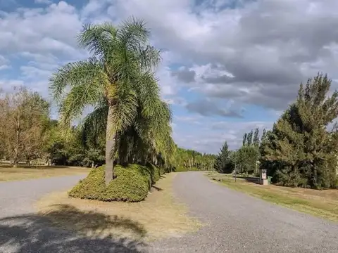 Terreno en Venta en Coronel Brandsen, USD 21.500