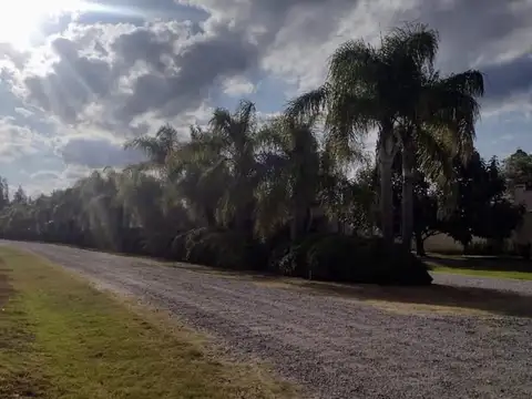 Terreno en Venta de 800,0 m2