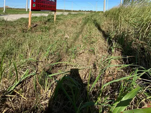 Roberto Collino al 100