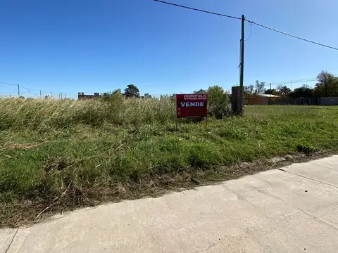 Roberto Collino 100