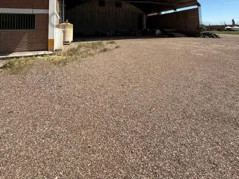 Galpon en Venta 113  mts Fondo