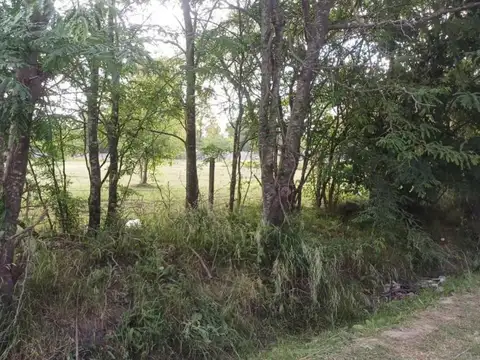Terreno en venta - 550Mts2 - Cañuelas