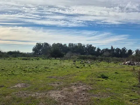 CAMPO EN VENTA LA PLATA