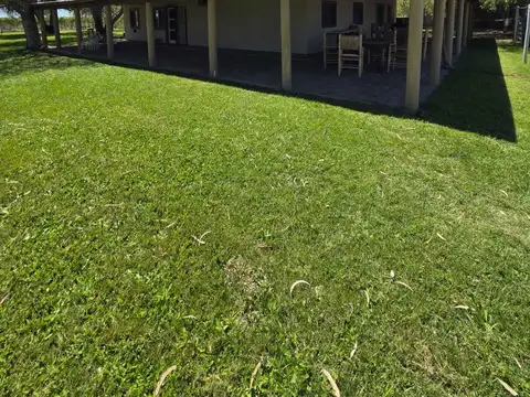 VENDE HILERAS DE VIÑA