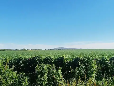 Terreno en Venta en Malagueño, Santa María