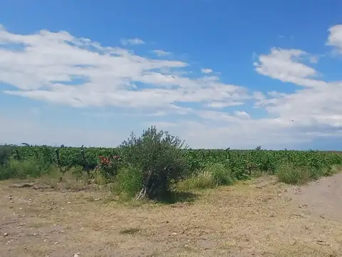 Ruta 89
