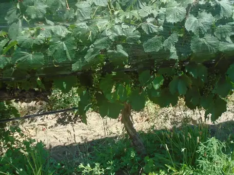 VENTA DE FINCA