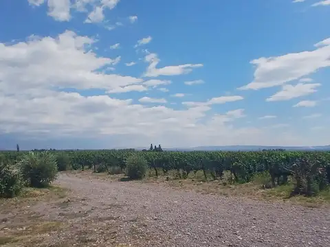 Ruta 89