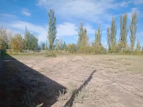 Callejon Ortega 100