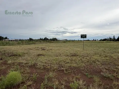 Terreno en venta en Melon Gil entre 10 de Diciembre e I. Suarez, Trenque Lauquen